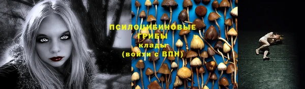 сатива Алексеевка