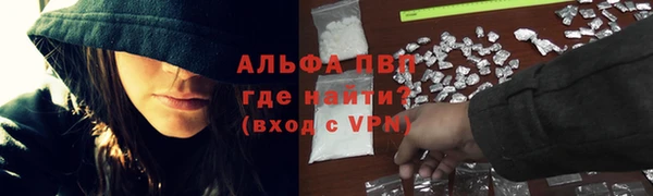 сатива Алексеевка