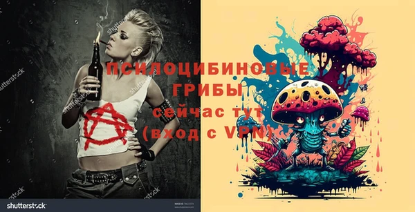 сатива Алексеевка