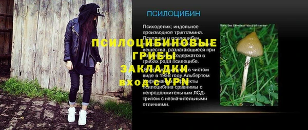 сатива Алексеевка