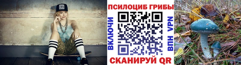 МЕГА ссылки  Кемь  Псилоцибиновые грибы Psilocybe 